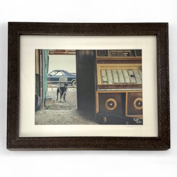 Dog and Jukebox Photograph by Nicol Ragland