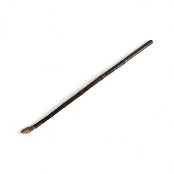 Bamboo Walking Stick