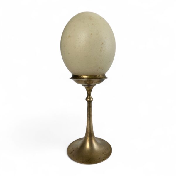 Ostrich Egg on Brass Stand