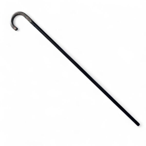 Walking Cane w/ Silver Handle